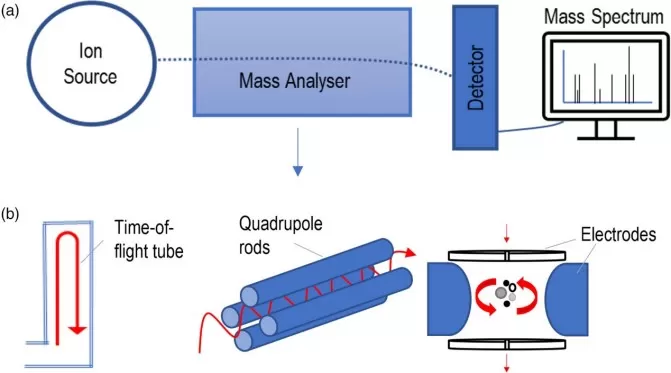 Core Components of a Mass Spectrometer and Common Types of Mass Analyzers